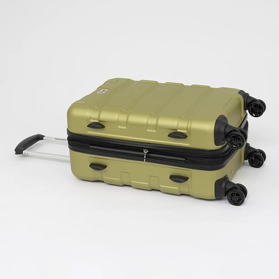 Чемодан на колесах Francesco Molinary 336-161426/2-20GRN