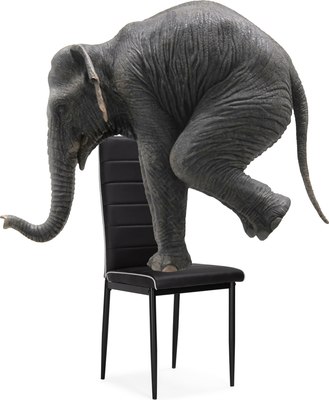 Стул Woodville DC2-001