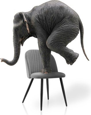 Стул Woodville Gabi 1