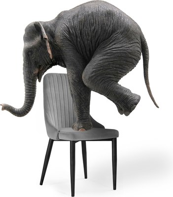 Стул Woodville Kora