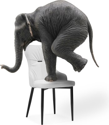 Стул Woodville Neli