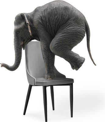 Стул Woodville Kora 1