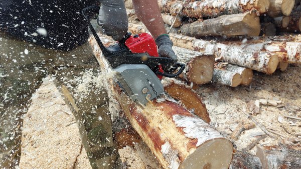 Бензопила цепная Интерскол ПЦБ 180-16 (876.0.0.40)