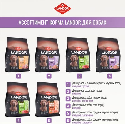 Сухой корм для собак Landor Monoprotein для взрослых собак всех пород с индейкой / F2130