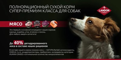 Сухой корм для собак Landor Monoprotein для взрослых собак всех пород с индейкой / F2130