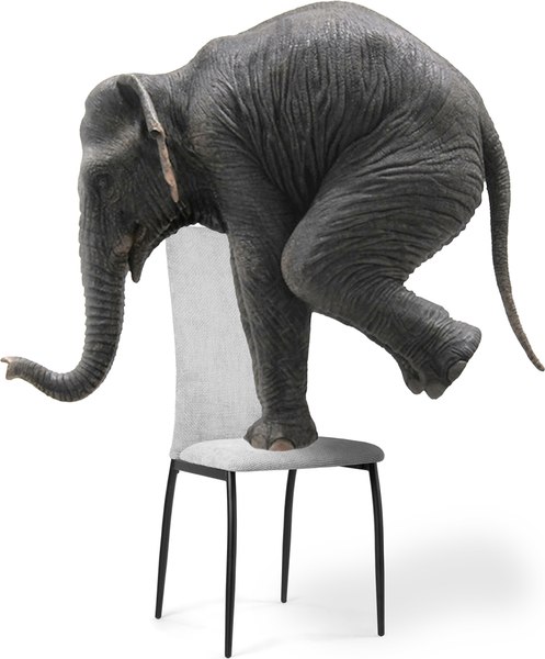 Стул Woodville Tod