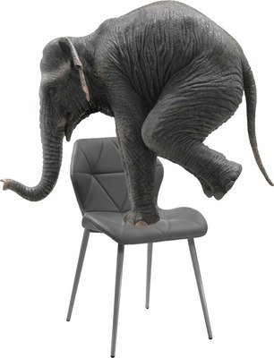 Стул Woodville Вальд