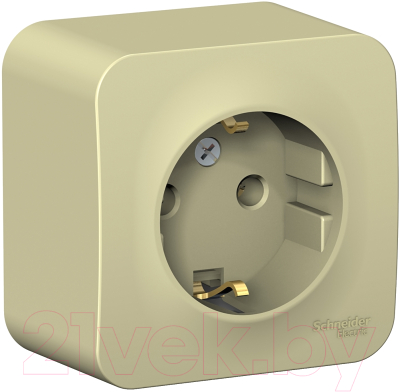 Розетка Schneider Electric Blanca BLNRA010117 - фото