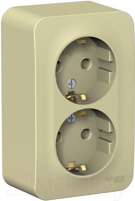 Розетка Schneider Electric Blanca BLNRA010217 - фото