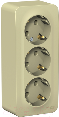 Розетка Schneider Electric Blanca BLNRA010317 - фото