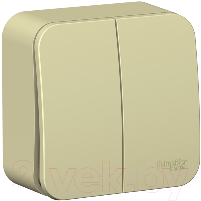 Выключатель Schneider Electric Blanca BLNVA105017 - фото