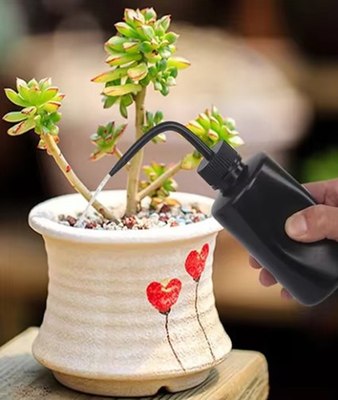 Лейка комнатная BOTANICA Бутылка для полива