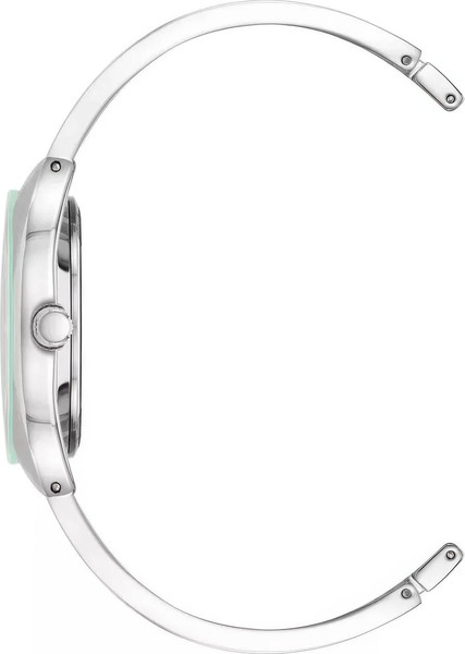 Часы наручные женские Anne Klein AK/4041MINT