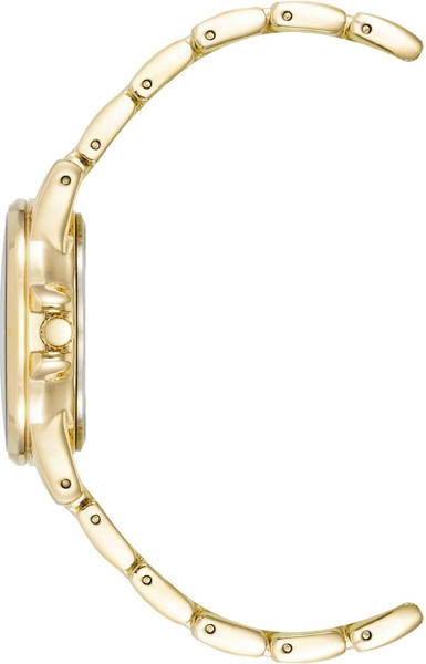 Часы наручные женские Anne Klein AK/4132RAGB