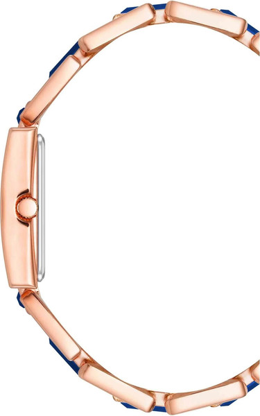 Часы наручные женские Anne Klein AK/4156BLRG