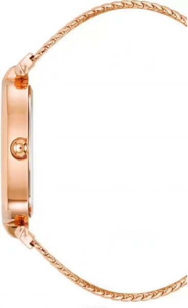 Часы наручные женские Anne Klein AK/5008PMRG