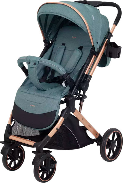 Детская прогулочная коляска Rant Basic Vortex / RA304 - фото