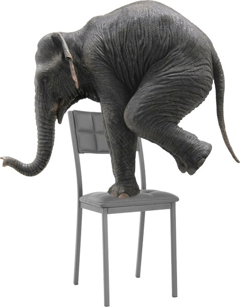 Стул Woodville Бекал