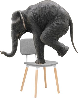 Стул Woodville Klint