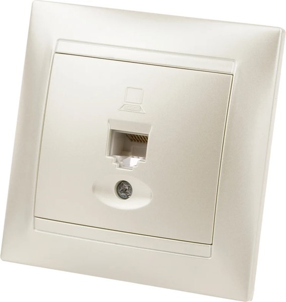 Розетка TDM Лама / SQ1815-0816 - фото