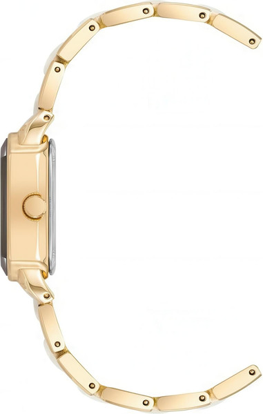 Часы наручные женские Anne Klein AK/5010GPWT