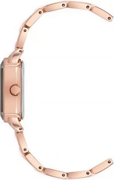 Часы наручные женские Anne Klein AK/5010RGPK