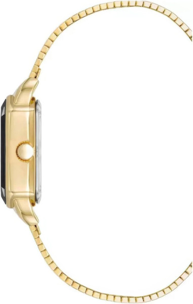 Часы наручные женские Anne Klein AK/5016BKGB