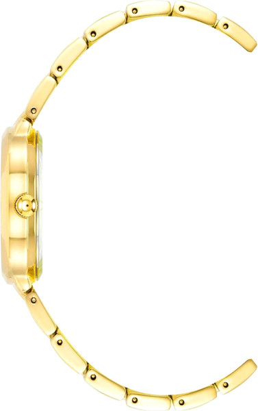 Часы наручные женские Anne Klein AK/5020BKGB