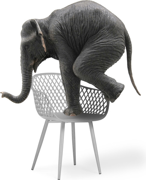 Стул Woodville Rikon