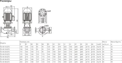 Центробежный насос Wellmix TG 40-18/2T BQQE / 12019985