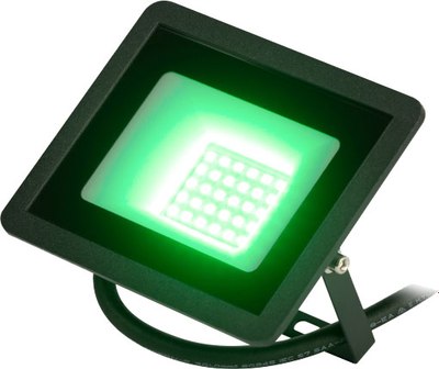 Прожектор ЭРА LPR-025-GREEN-030 / Б0064672 - фото