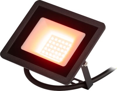 Прожектор ЭРА LPR-025-RED-030 / Б0064721 - фото