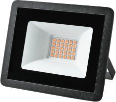 Прожектор ЭРА LPR-025-RED-030 / Б0064721