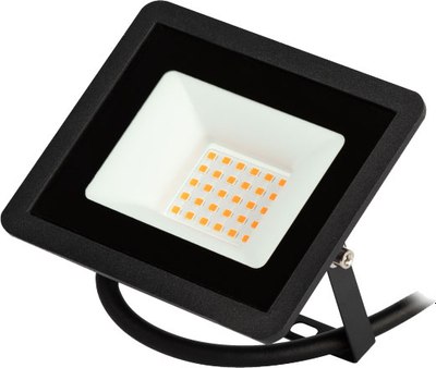 Прожектор ЭРА LPR-025-RED-030 / Б0064721