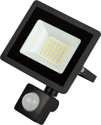 Прожектор ЭРА LPR-042-2-65K-030 / Б0064234 - фото