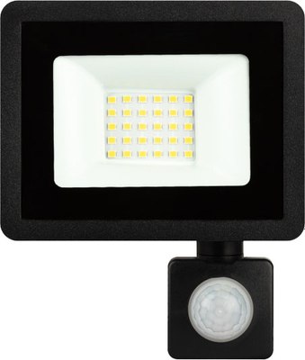 Прожектор ЭРА LPR-042-2-65K-030 / Б0064234