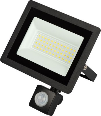 Прожектор ЭРА LPR-042-2-65K-050 / Б0064292 - фото