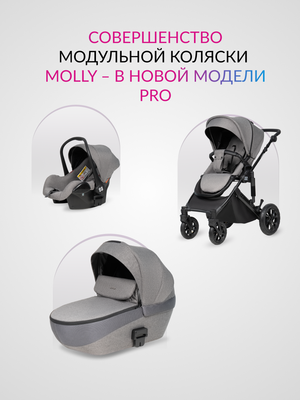 Детская универсальная коляска Farfello Molly Pro 3 в 1 MP-1