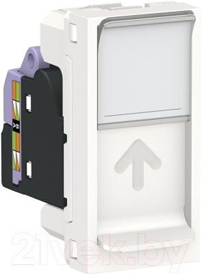 Розетка Schneider Electric Unica NU341618 - фото