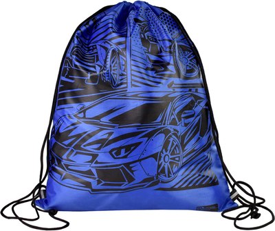 Мешок для обуви Феникс+ Мегаскорость / 62504 - фото