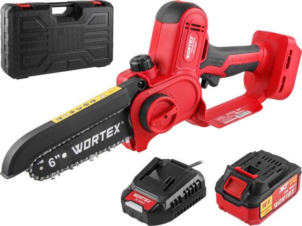 Пила цепная аккумуляторная Wortex CEC 2518-2 ALL1 / 1334828 (в чемодане)