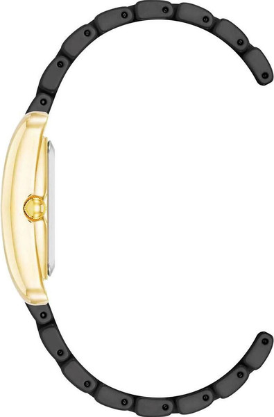 Часы наручные женские Anne Klein AK/5022GPBK