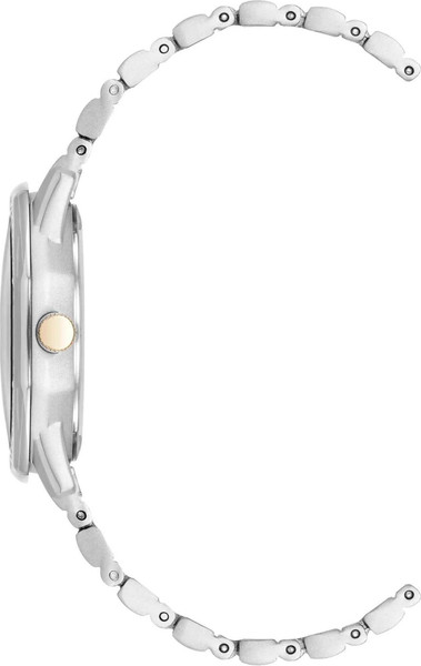 Часы наручные женские Anne Klein AK/5029MPTT