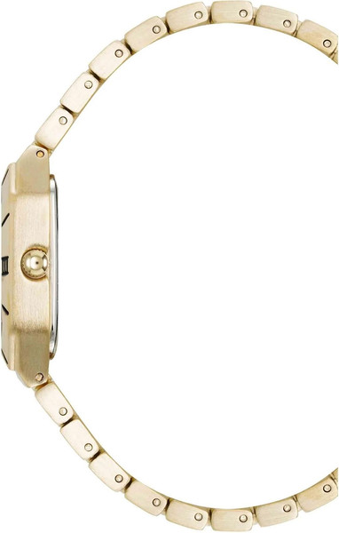 Часы наручные женские Anne Klein AK/5038CHGB