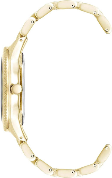 Часы наручные женские Anne Klein AK/5042BKGB