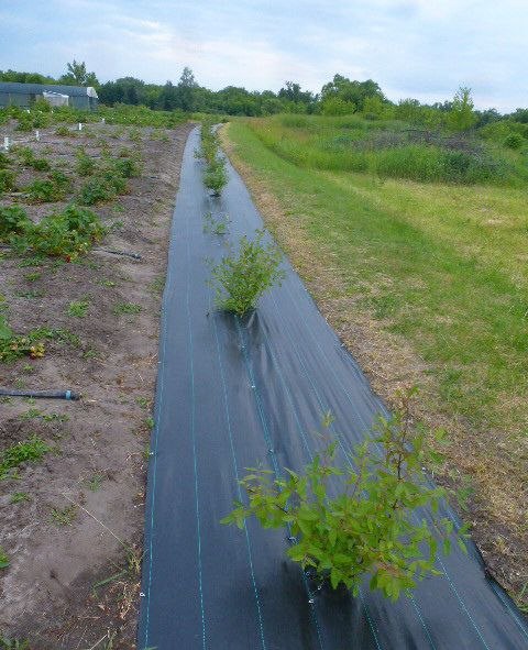 Укрывной материал GreenTerra Агроткань UV 130 г/м2 3.2x100м