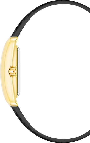 Часы наручные женские Anne Klein AK/5056GPBK