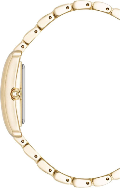 Часы наручные женские Anne Klein AK/5060BKGB