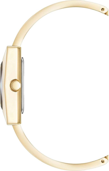 Часы наручные женские Anne Klein AK/5062GPBK