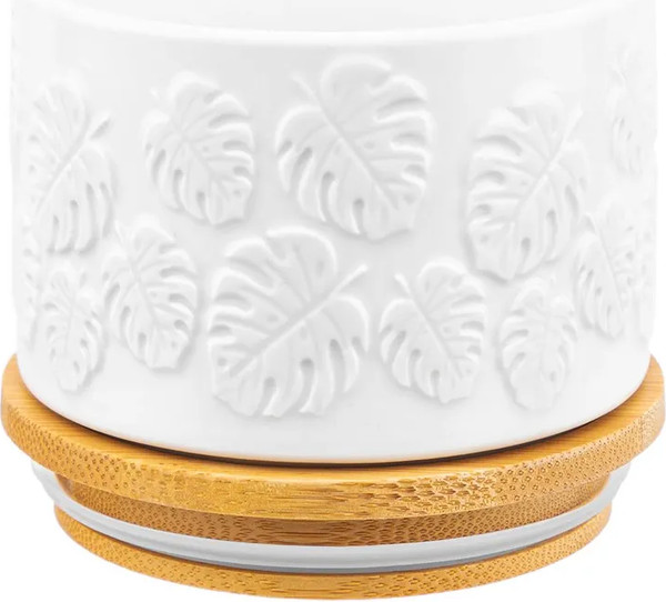 Емкость для хранения Elan Gallery Тропики / 540645